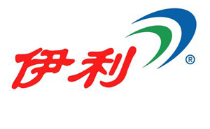 Spring Festival